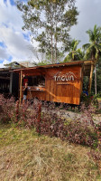Tagua outside