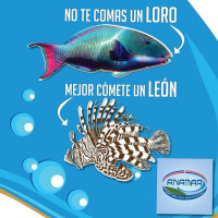 Cayenas Del Mar Beach Club Samaná Logo