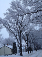 Xaman Café Exterior