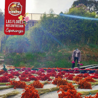 Los Perritos Comidas Rapidas outside