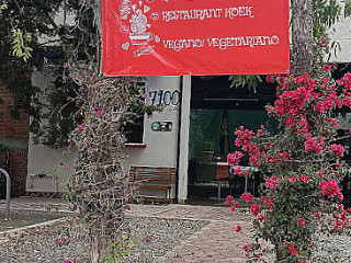 Koek Vegetariano/ Vegano