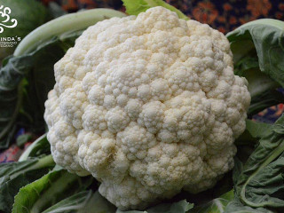 Govinda's Vegetariano Vegano