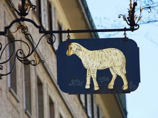 Municipal Market Yecapixtla