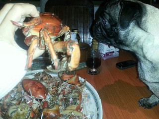 La Cangrejada De Pedro