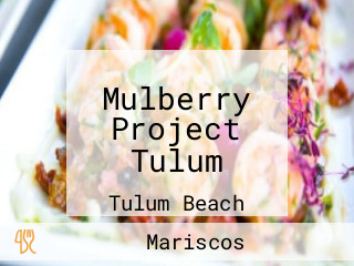 Mulberry Project Tulum