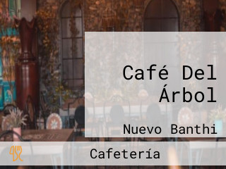 Café Del Árbol