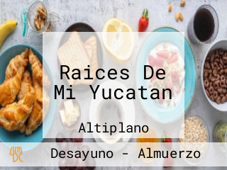 Raices De Mi Yucatan