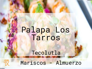 Palapa Los Tarros