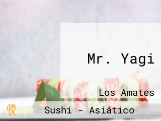 Mr. Yagi