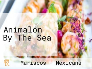 Animalón By The Sea