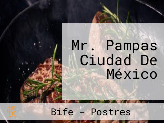 Mr. Pampas Ciudad De México