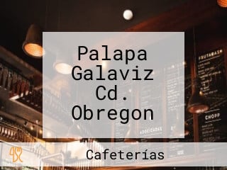 Palapa Galaviz Cd. Obregon