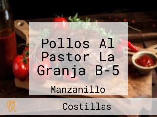 Pollos Al Pastor La Granja B-5