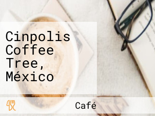 Cinpolis Coffee Tree, México