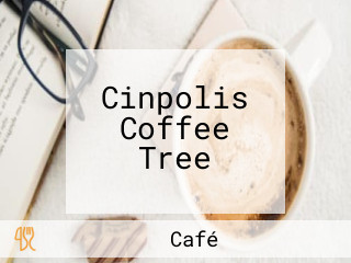 Cinpolis Coffee Tree