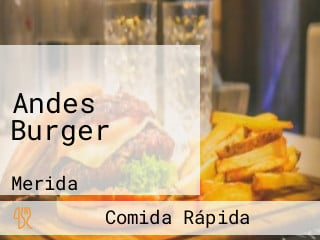 Andes Burger