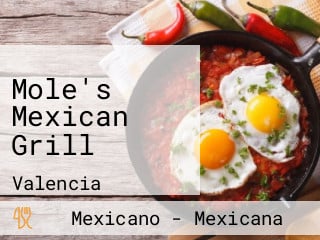 Mole's Mexican Grill