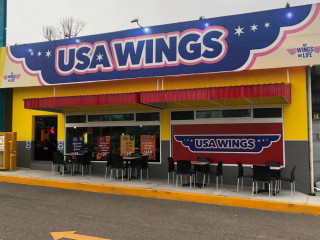 USA Wings
