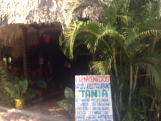 Tania's
