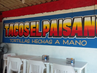 Tacos El Paisa and Rubbish
