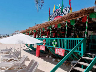 Sea±or Froga´s Playa Del Carmen Muelle