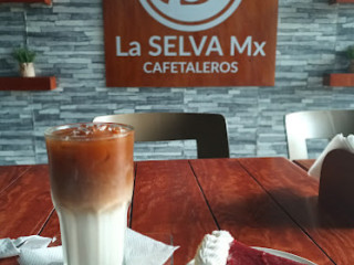 La Selva Mx Cafetaleros