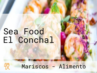 Sea Food El Conchal