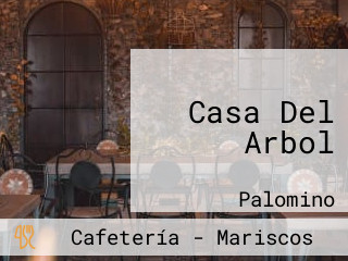 Casa Del Arbol