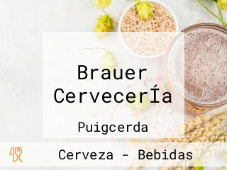 Brauer CervecerÍa