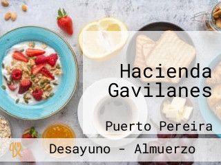 Hacienda Gavilanes