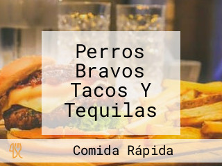 Perros Bravos Tacos Y Tequilas