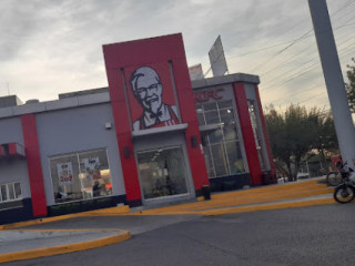 Kentucky Fried Chicken