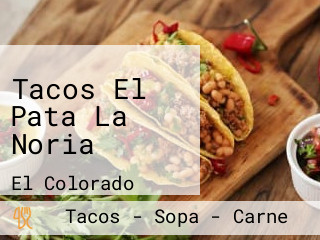 Tacos El Pata La Noria