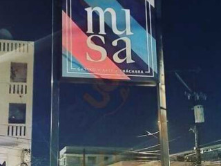 Musa Puerto Rico