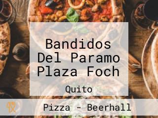 Bandidos Del Paramo Plaza Foch
