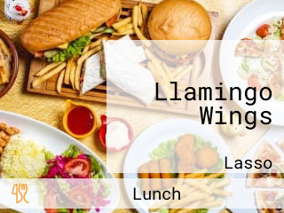 Llamingo Wings