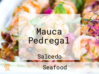 Mauca Pedregal