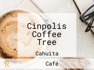 Cinpolis Coffee Tree
