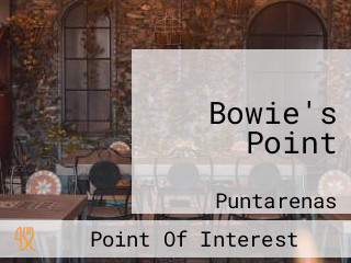 Bowie's Point