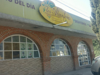Y Café Los Alcanfores