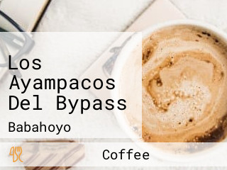 Los Ayampacos Del Bypass