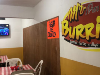 Mr. Burrito