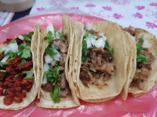 Tacos Y Gringas La Tia Martha