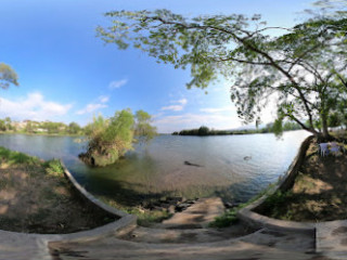 Chaulos En Isla Manaos