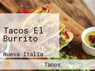 Tacos El Burrito