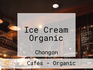 Ice Cream Organic