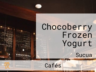 Chocoberry Frozen Yogurt