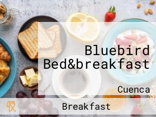 Bluebird Bed&breakfast