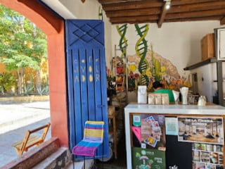 Café El Volador, México