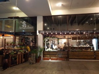Arthumus French Organic Organic Store